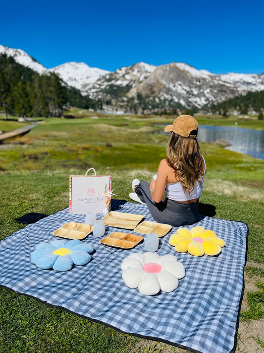 Picnic Box- Navy Blue