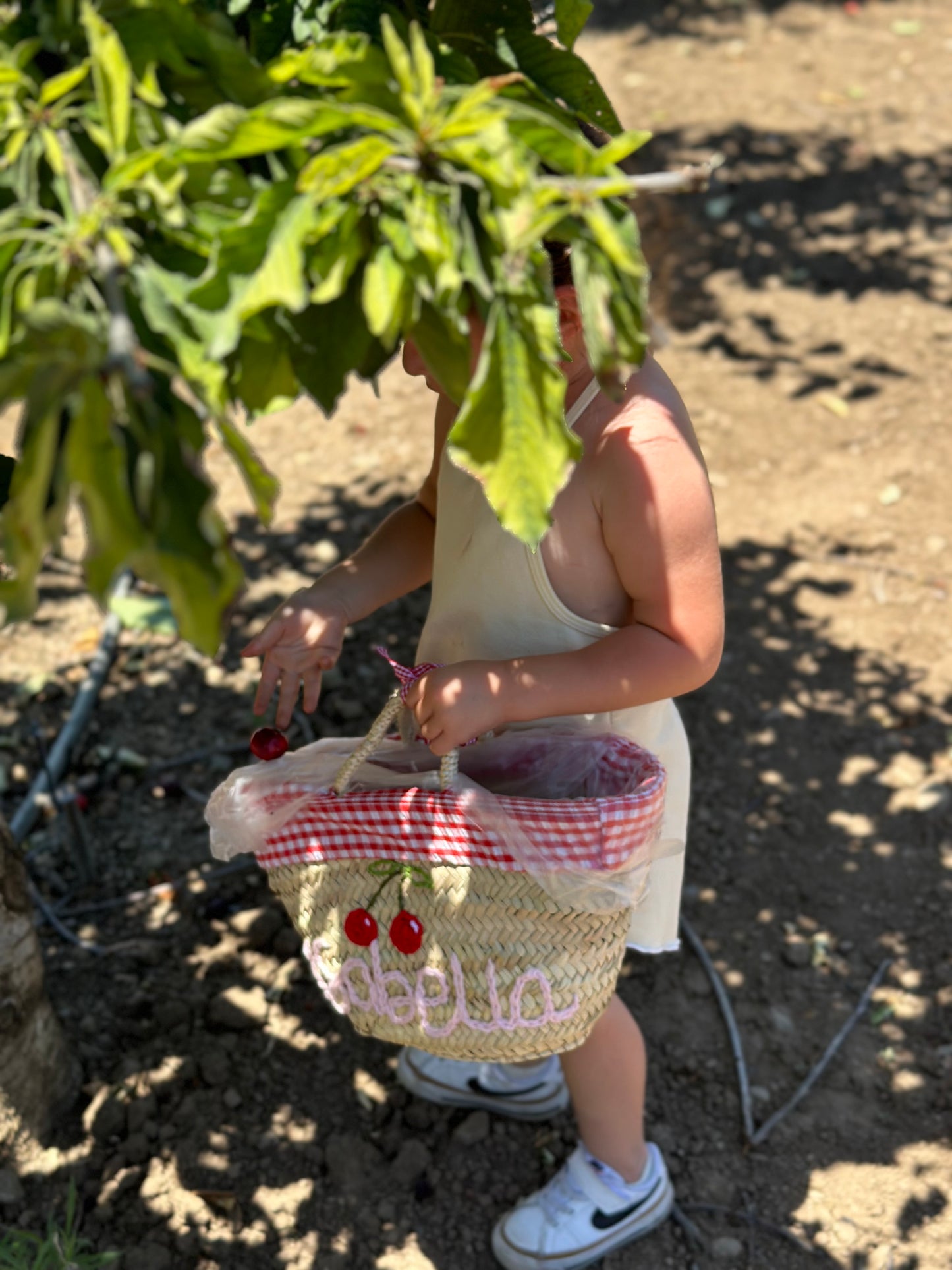 Picnic Basket