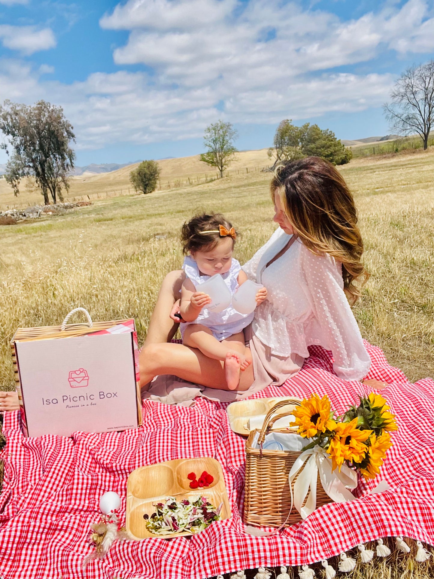 Picnic Box-  Red (waterproof blanket)