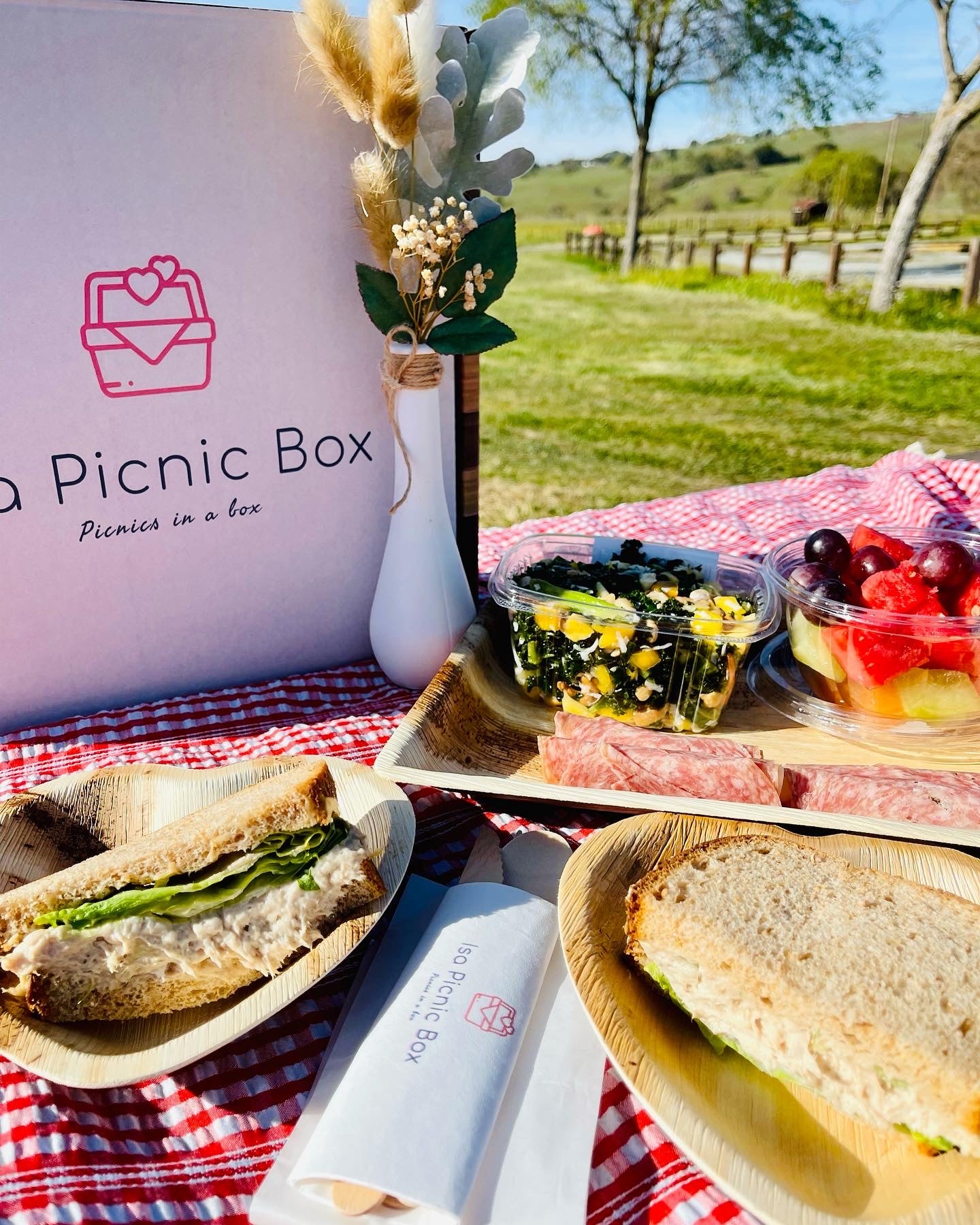 Picnic Box-  Red (waterproof blanket)